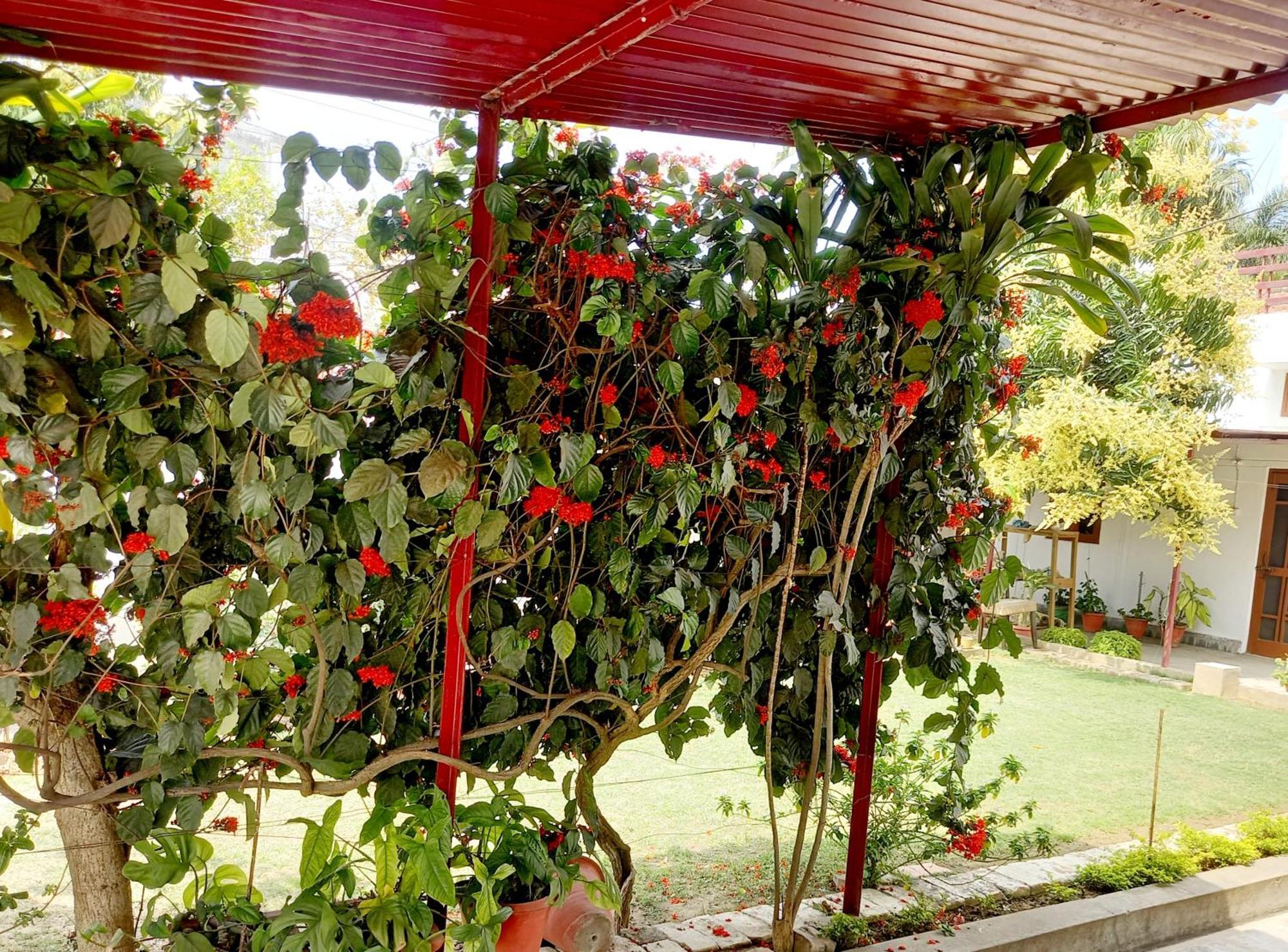Garden View Residency Bed and Breakfast Lucknow Exteriör bild